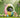 2026 Easter Cleaning Guide with Honiture Cordless & Robot vaccums