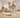 HEPA Vacuum vs Regular Vacuum: Key Differences Explained