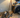 Real User Reviews of the Honiture X7 Cordless Vacuum