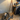 Real User Reviews of the Honiture X7 Cordless Vacuum